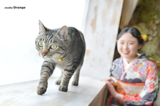 猫と撮れる成人式前撮り撮影