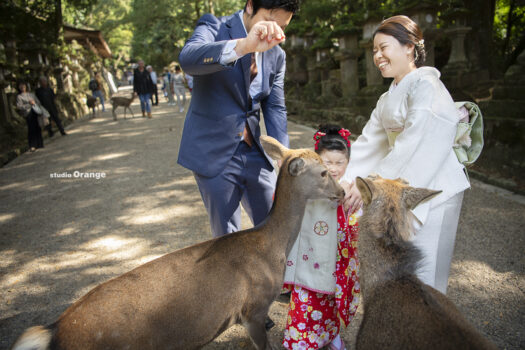 春日大社　奈良の鹿　七五三出張写真撮影　3歳女の子