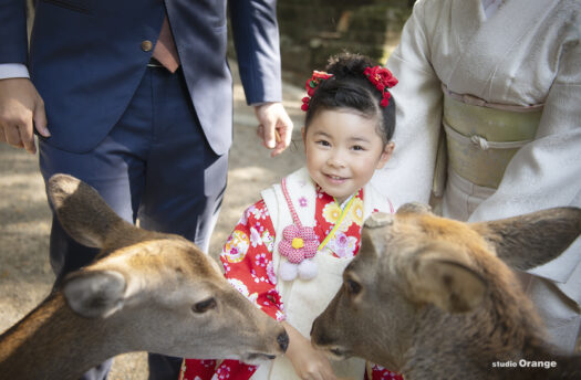 春日大社　奈良の鹿　七五三出張写真撮影　3歳女の子