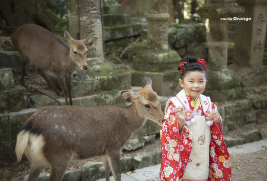 春日大社　奈良の鹿　七五三出張写真撮影　3歳女の子