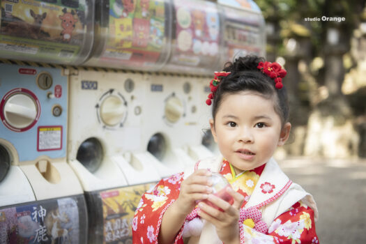 春日大社　七五三出張写真撮影　ガチャガチャ　3歳女の子